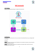 BGP Community.pdf